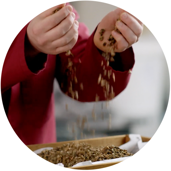 Worker at Fentimans mixing botanicals